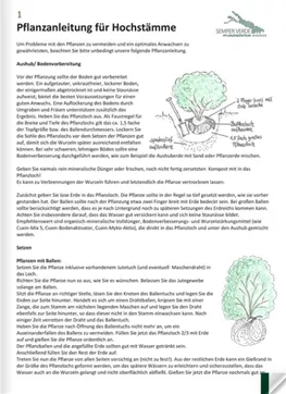 Pflanzenanleitung für Semper Verde-Heckenelemente