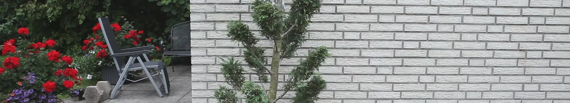 Zypresse - Einpflanzen im Garten