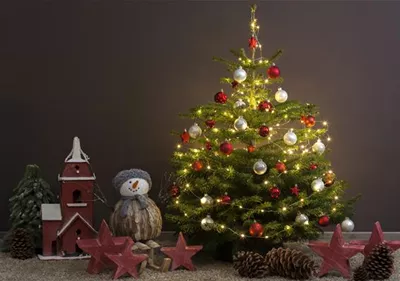 Tradition des Weihnachtsbaums
