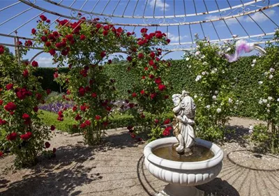 Der Barockgarten: royales Flair im eigenen Garten
