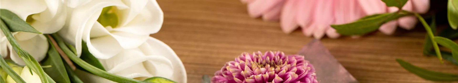 Schnittblumen - was hilft wirklich?