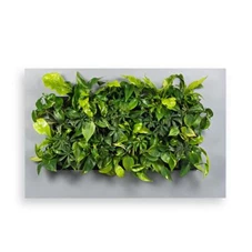 LivePicture 2, Schwarz / B 112 x H 72 x T 7 cm LivePicture 2, Schwarz / B 112 x H 72 x T 7 cm