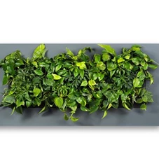 LivePicture 3, Schwarz / B 152 x H 72 x T 7 cm