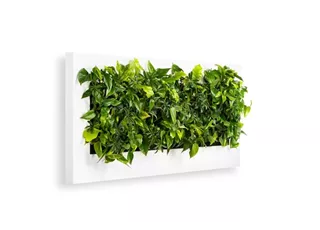 LivePicture 4 LivePicture 4