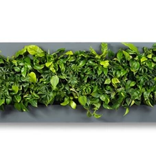 LivePicture 4, Schwarz / B 192 x H 72 x T 7 cm