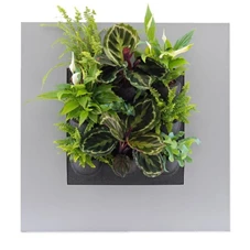 LiveMix, Breath of fresh air 