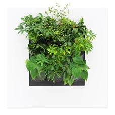 LiveMix, Tone in Tone 