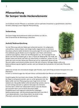 Pflanzenanleitung für Semper Verde-Heckenelemente