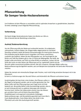 Pflanzenanleitung für Semper Verde-Heckenelemente