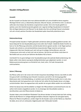 Pflanzenanleitung für Stauden