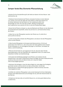 Pflanzenanleitung für Efeuelemente