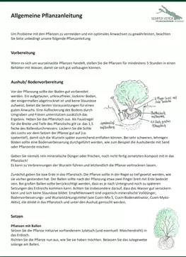 Allgemeine Pflanzenanleitung