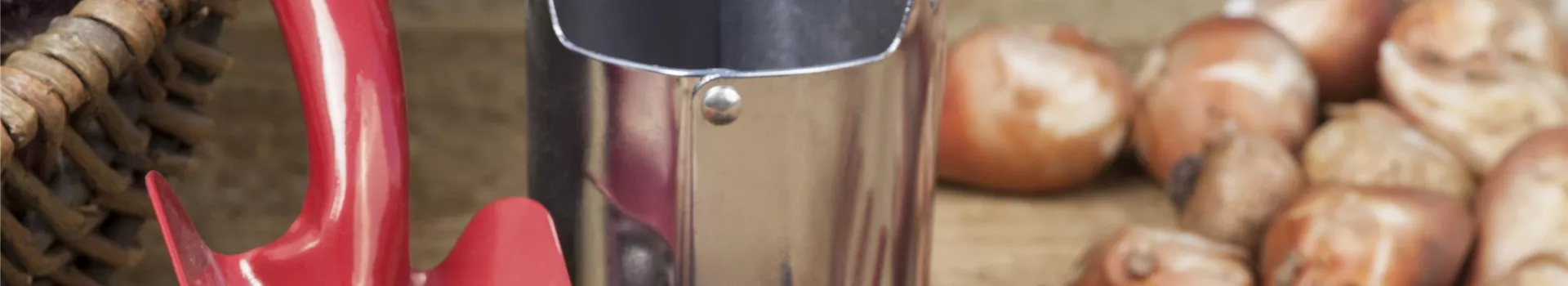 Ab in den Garten – Blumenzwiebeln im Frühjahr einpflanzen