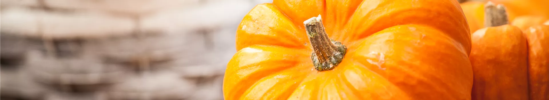 Der Nutzgarten: Selbstbedienung im eigenen Beet