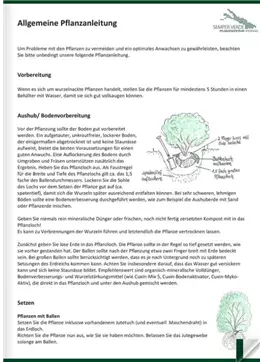 Allgemeine Pflanzenanleitung