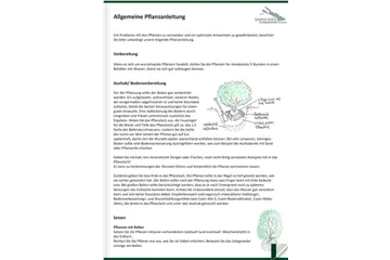 Allgemeine Pflanzenanleitung