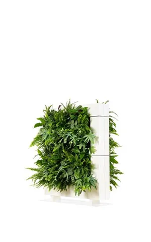 LiveDivider Plus 2