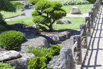 Der Feng-Shui-Garten: botanischer Einklang für die Gesundheit