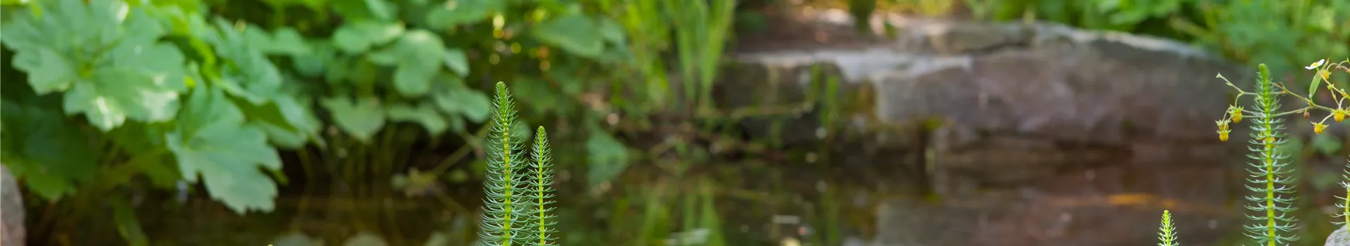 Findlinge im Garten - Sitzgelegenheit, Wasserfall oder Dekoelement