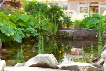 Findlinge im Garten - Sitzgelegenheit, Wasserfall oder Dekoelement