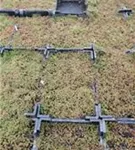 Garten-Rotmoos-Mauerpfeffer - Sedum album 'Coral Carpet'