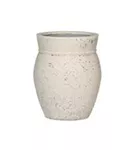 Mediterranean - Apollo