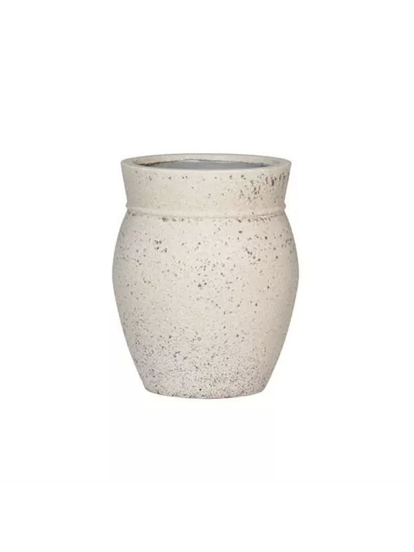 Mediterranean - Apollo