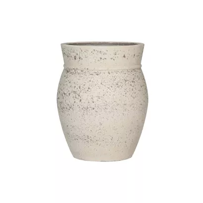 Mediterranean - Apollo