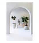 Mediterranean - Artemis Mediterranean - Artemis