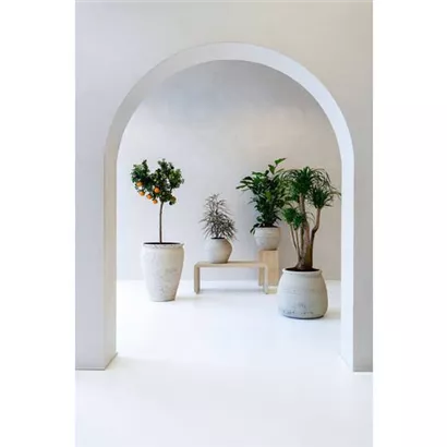 Mediterranean - Artemis Mediterranean - Artemis