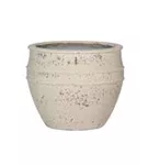 Mediterranean - Athena