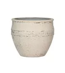 Mediterranean - Athena