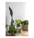 Concrete - Lukas Concrete - Lukas