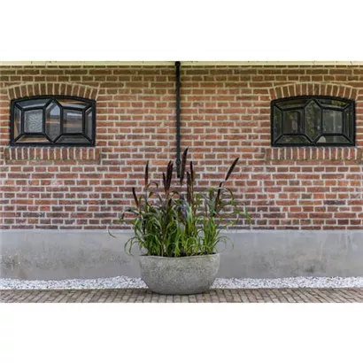 Mountain - Mt. Hunter