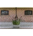 Mountain - Mt. Hunter