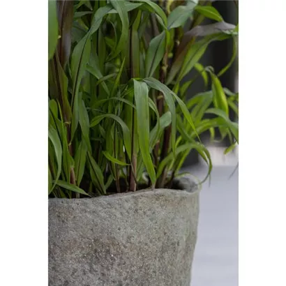 Mountain - Mt. Hunter