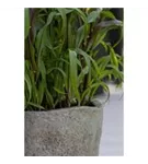 Mountain - Mt. Hunter