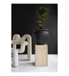 Treasure - Phileine Treasure - Phileine