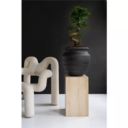 Treasure - Phileine Treasure - Phileine