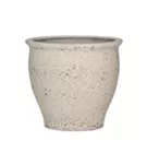 Mediterranean - Poseidon