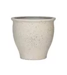 Mediterranean - Poseidon