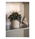 Ceramic - Sofia Ceramic - Sofia