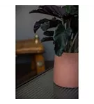 Ceramic - Sofia Ceramic - Sofia