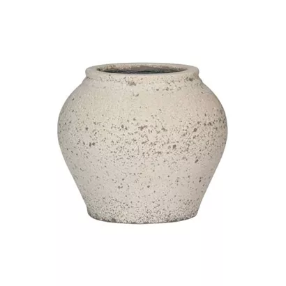 Mediterranean - Zeus