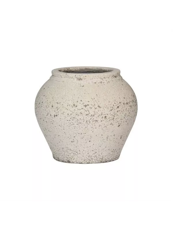 Mediterranean - Zeus