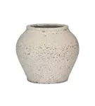 Mediterranean - Zeus