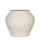 Mediterranean - Zeus