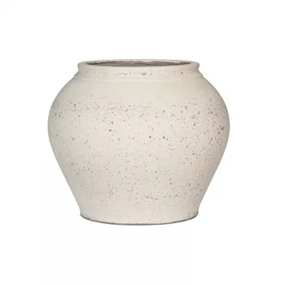 Mediterranean - Zeus