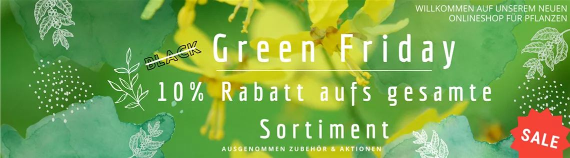 Banner Startseite (1).png