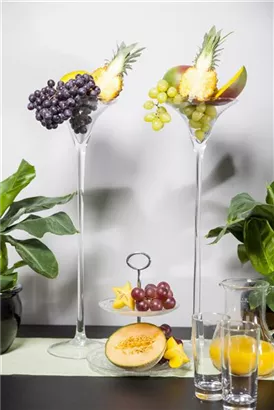 Weintraube - Vitis vinifera